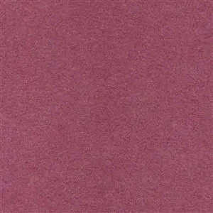 CROCUS 601
