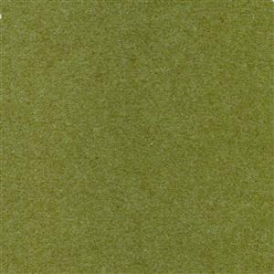 Lime 089