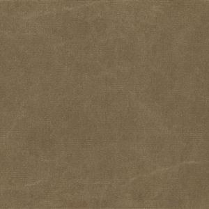 OLIVE 12