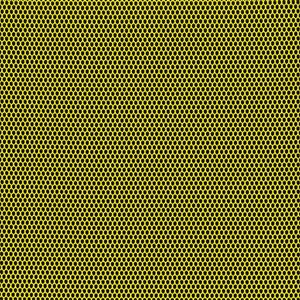 Lime 12