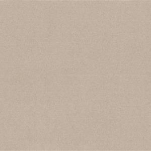 Taupe 983