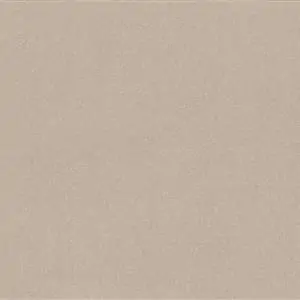 Taupe 983