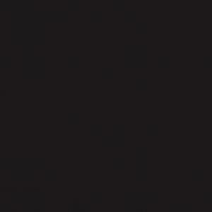 Onyx 999