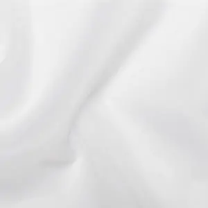 Ice 21