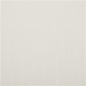 White Alyssum 80