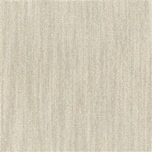 Fog 28