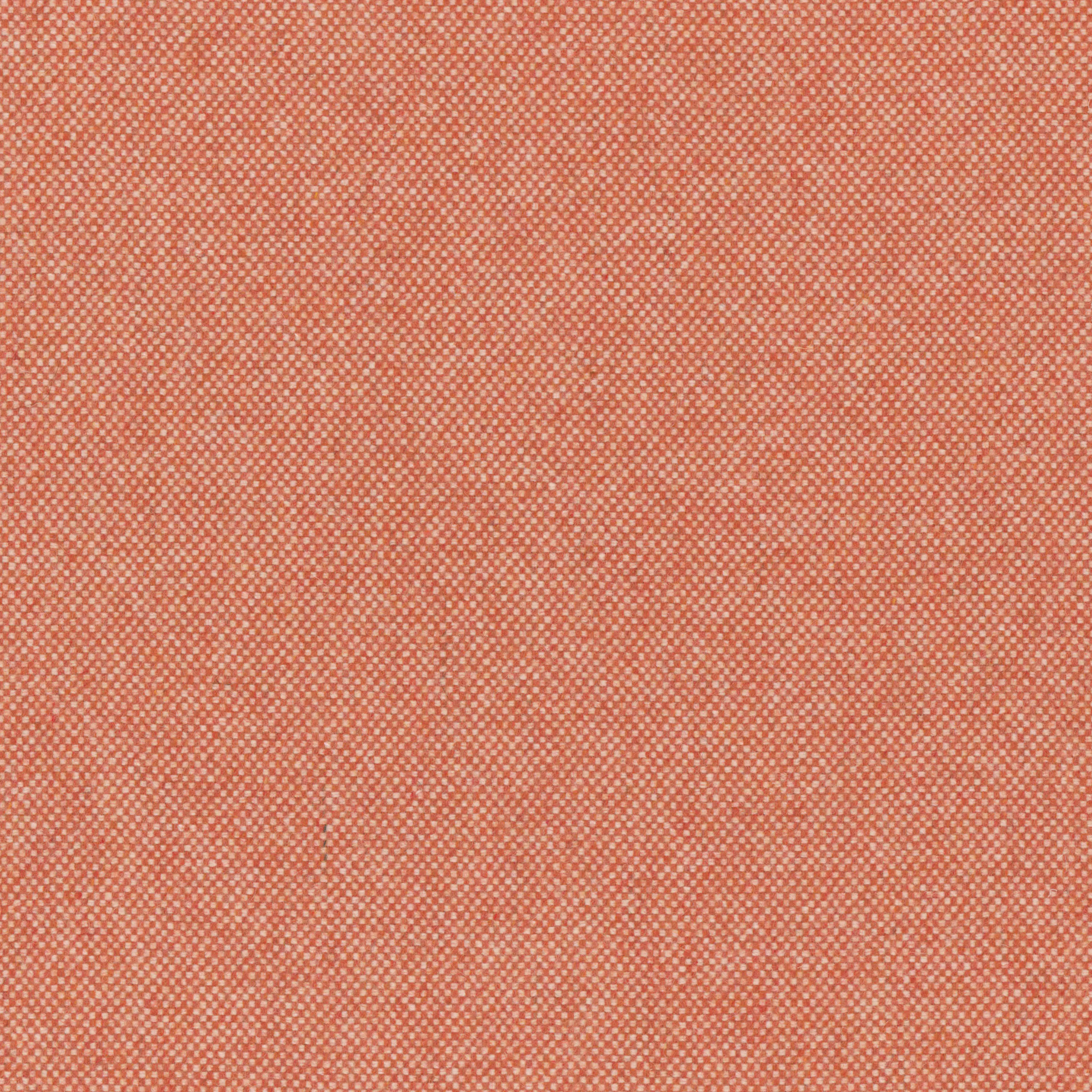 Grapefruit 17
