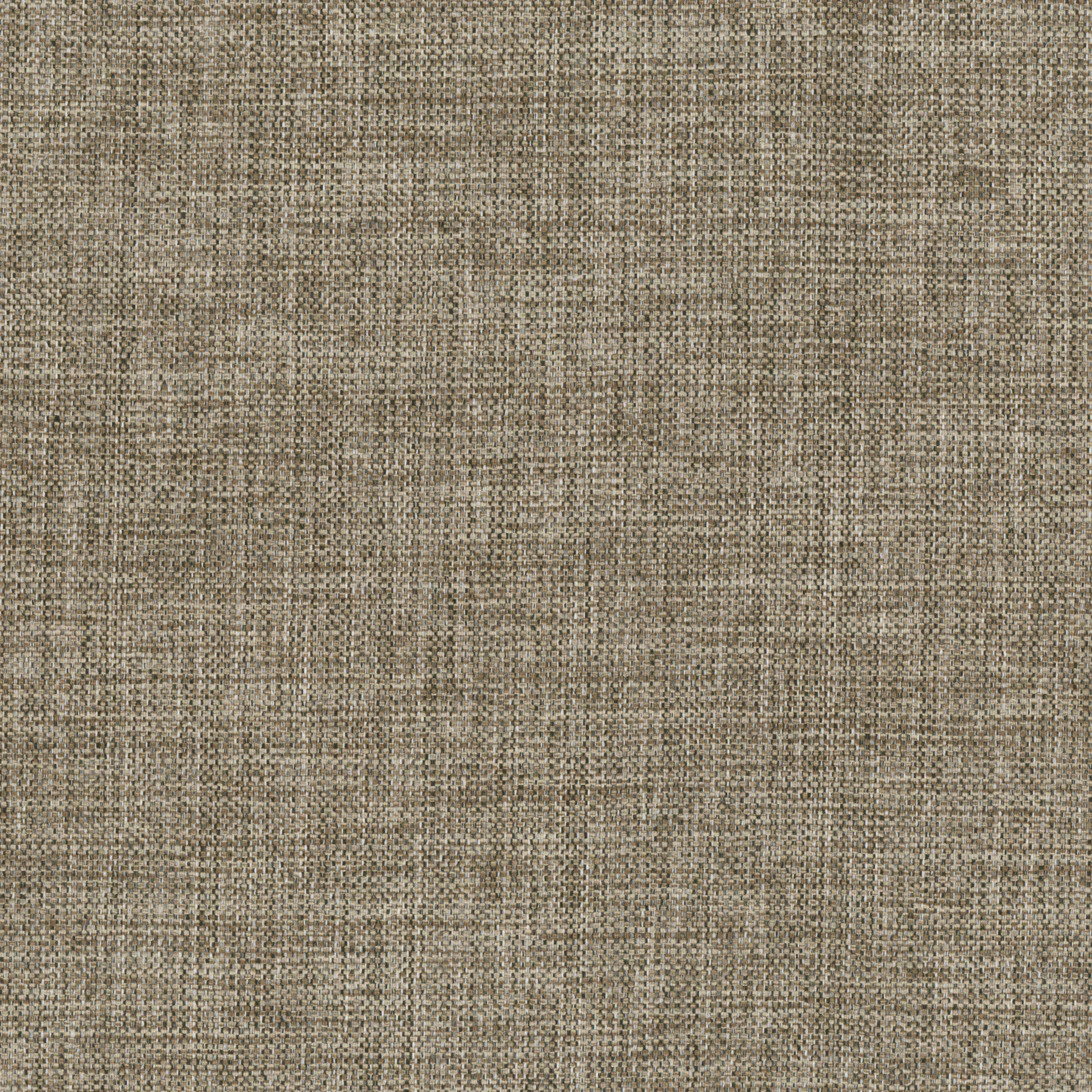 Taupe 01