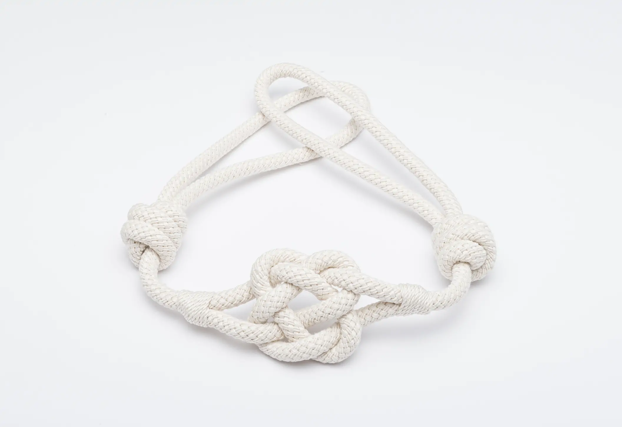 Ivory 01