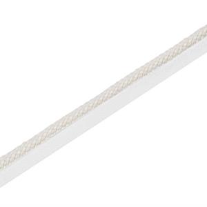 Ivory 01