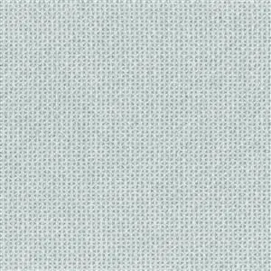 Silver 16
