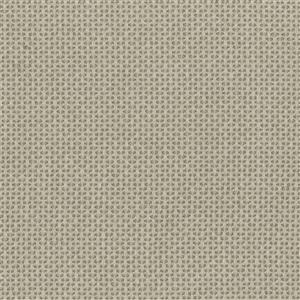 Cobblestone 06