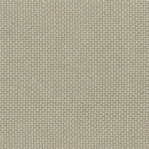 Cobblestone 06