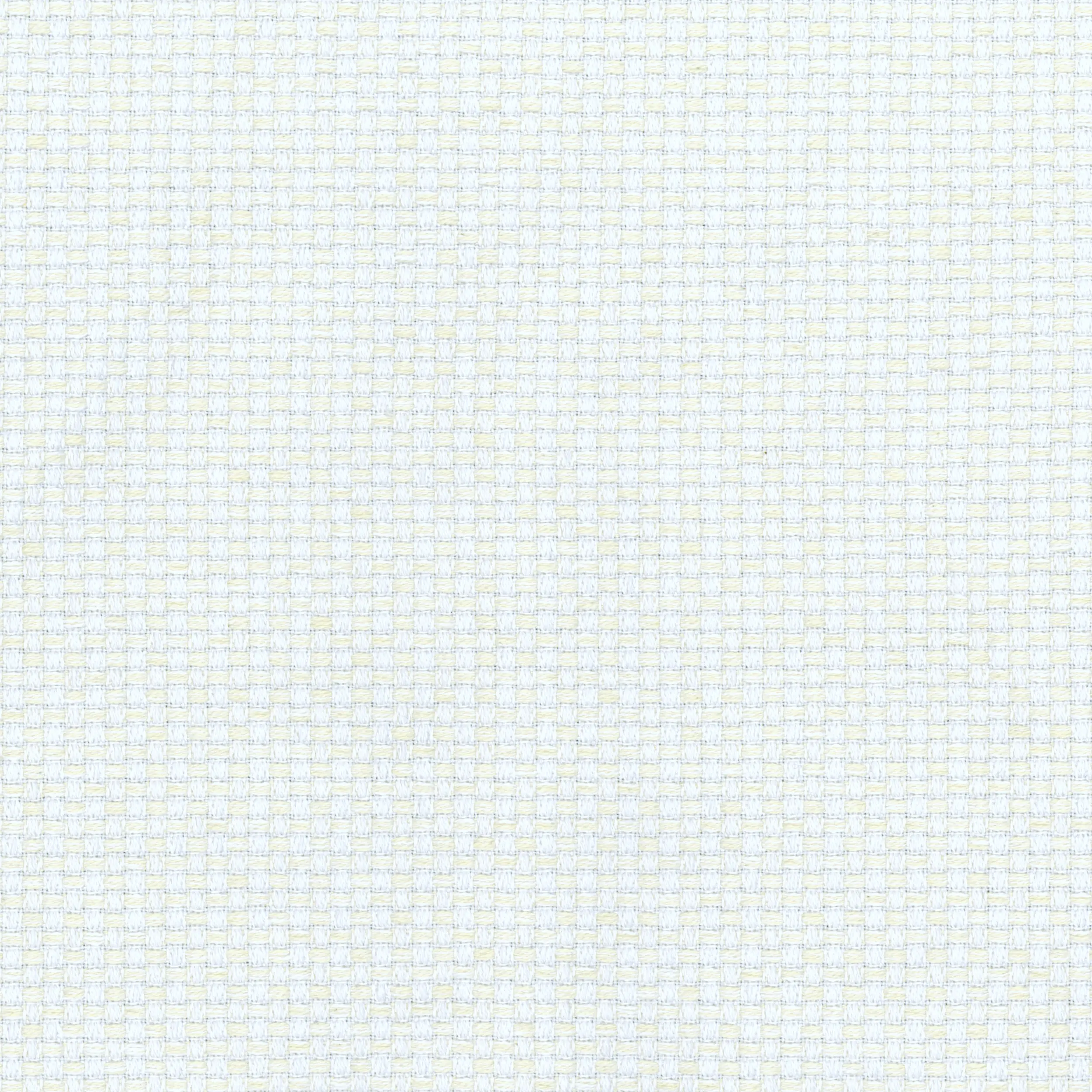White 05