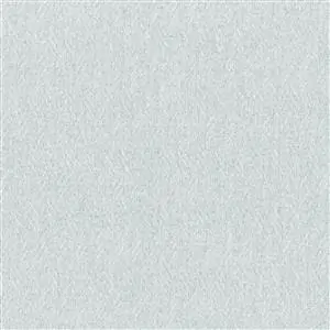 Silver 16