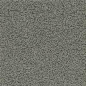 Gray 54