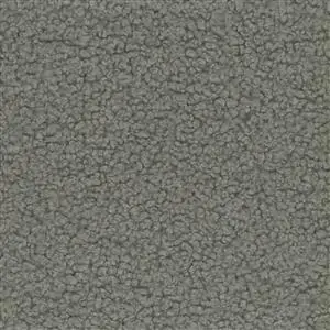 Gray 54