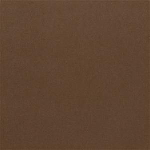 Taupe Gray 04
