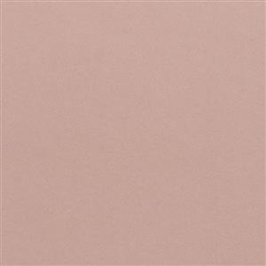 Sepia Rose 16