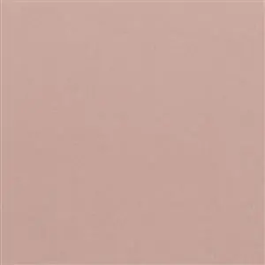 Sepia Rose 16