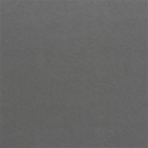 Gray 19