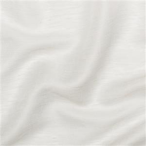 Oyster Mushroom 08