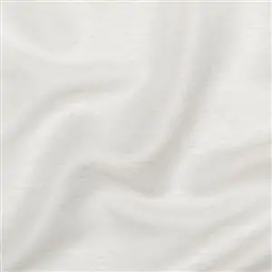 Oyster Mushroom 08