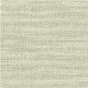 Birch 10