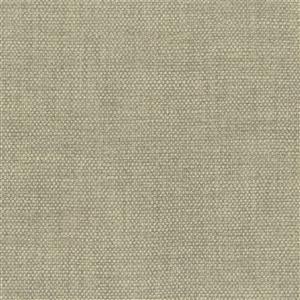 Feather Gray 65