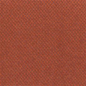 Burnt Ochre 62