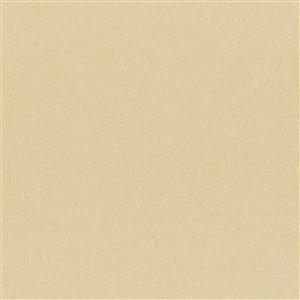 Shifting Sand 03
