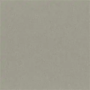 Gull Gray 00