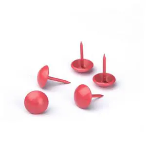 Raspberry 172