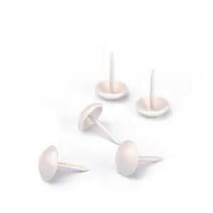 205 Ivory