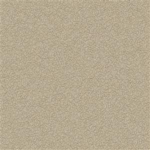 Oyster Gray 24