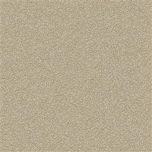 Oyster Gray 24