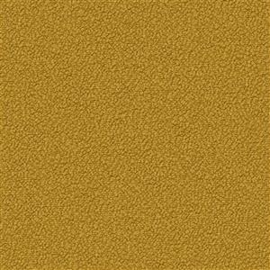 Bright Gold 31