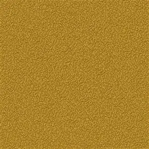 Bright Gold 31