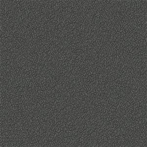 Volcanic Ash 12