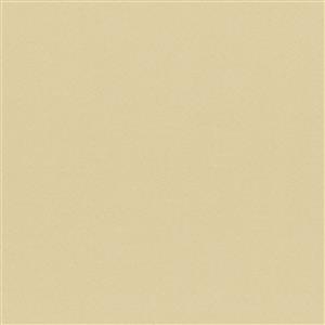 Shifting Sand 89