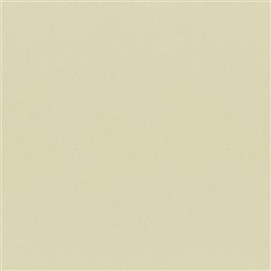 Silver Gray 66