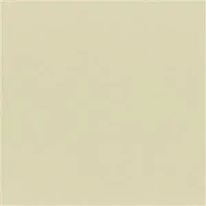 Silver Gray 66