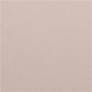 Lilac Ash 17