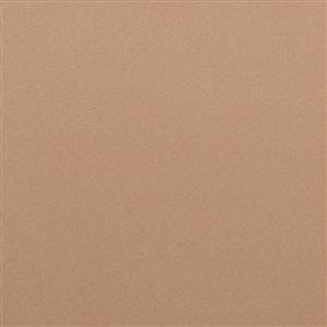 Warm Taupe 19