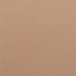 Warm Taupe 19