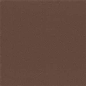 Chicory Coffe 80