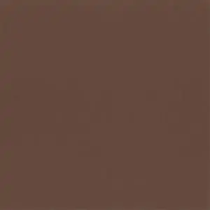 Chicory Coffe 80