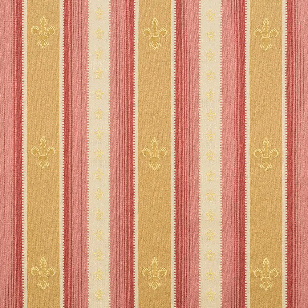 Coral Cloud 05