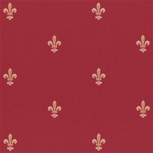 Burgundy 06
