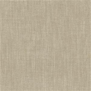 Pure Cashmere 08